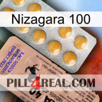 Nizagara 100 41